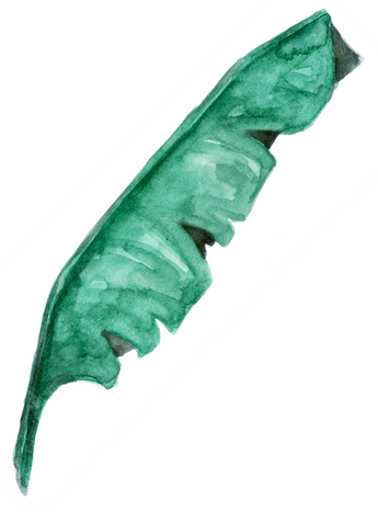 Watercolor Organic Leaf Shape